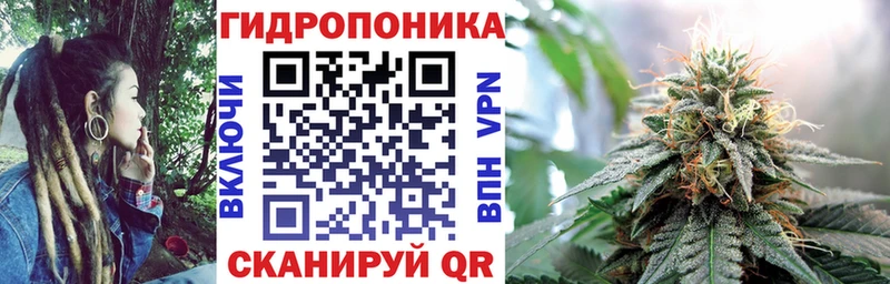 Где купить Гусиноозёрск Cocaine  Галлюциногенные грибы  Марихуана  СК 