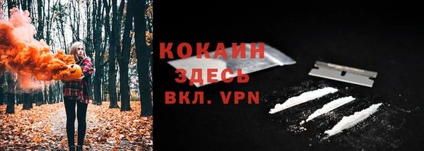 стаф Мегион